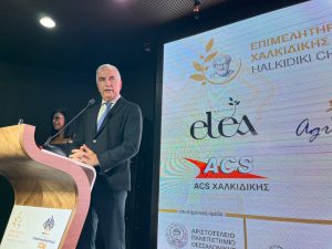 Σταύρος Καλαφάτης από τα Βραβεία Επιχειρηματικότητας Χαλκιδικής: «Στηρίζουμε τη μικρομεσαία επιχειρηματικότητα όχι με λόγια αλλά με ουσιαστικές πολιτικές»